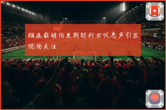雄鹿截胡伯里斯时科尔叹息声引发现场关注